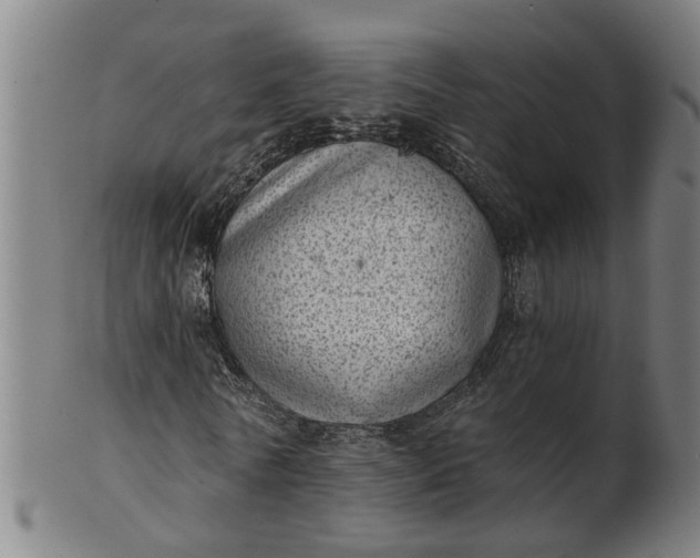 X0000101650770200807241354