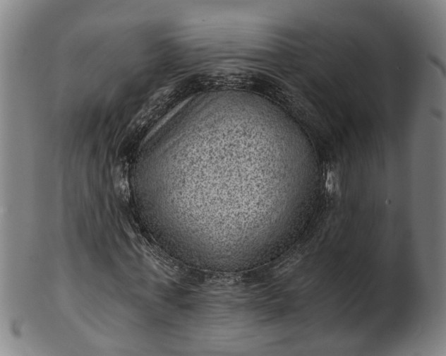 X0000101650771200807241354