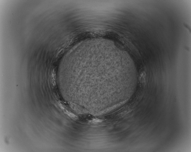 X0000101650772200807241354