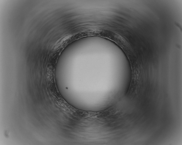 X0000101650773200807241354