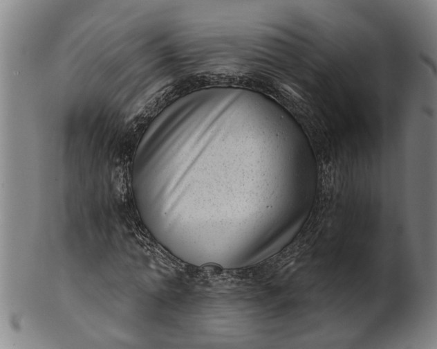 X0000101650774200807241354