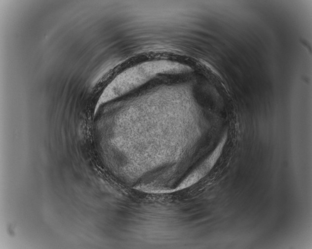 X0000101650775200807241354