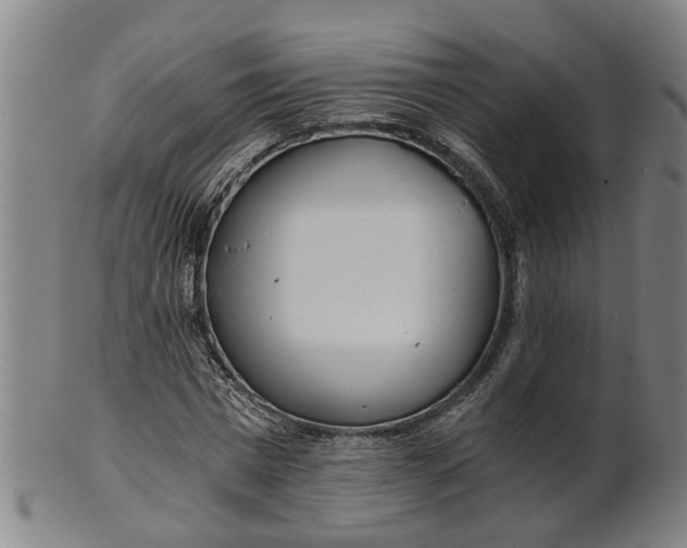 X0000101650777200807241354