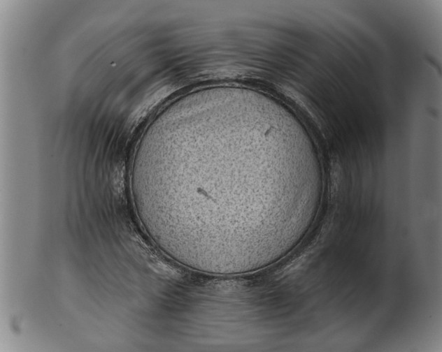 X0000101650778200807241354