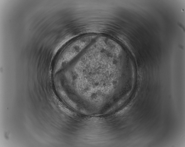 X0000101650779200807241354