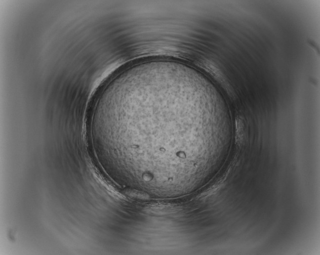 X0000101650780200807241354