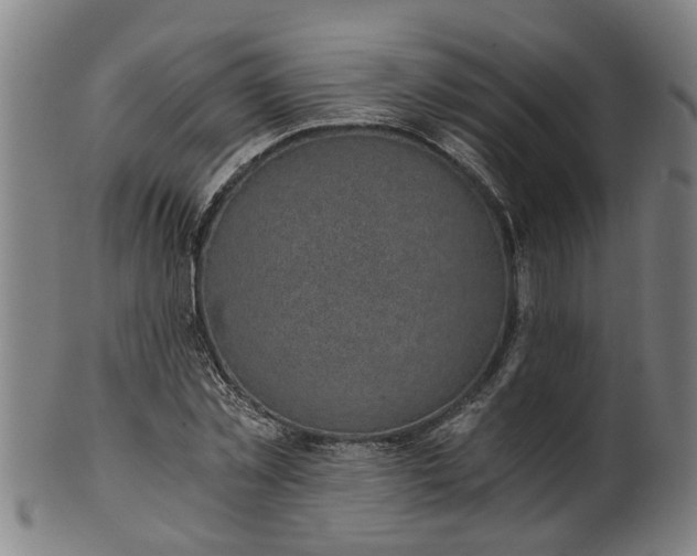 X0000101650781200807241354