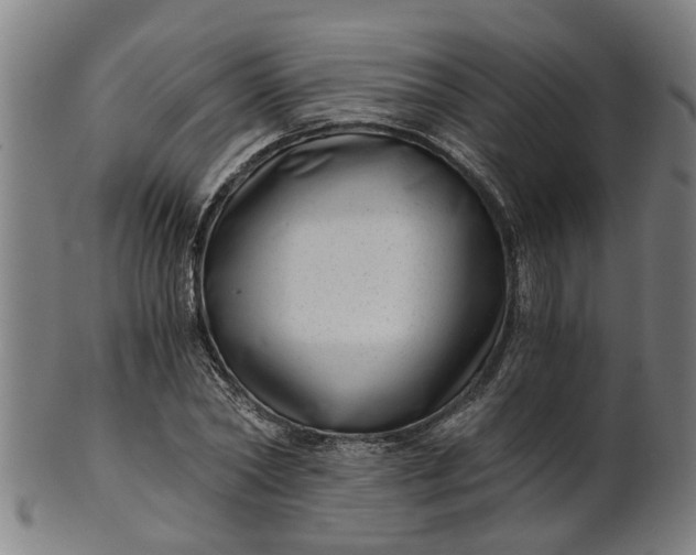 X0000101650782200807241354