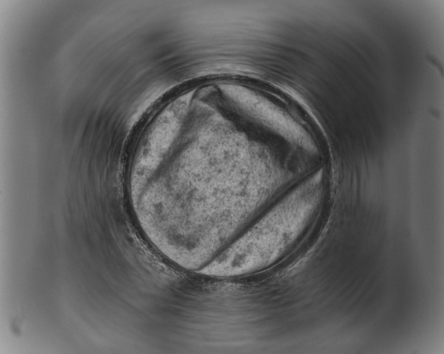 X0000101650783200807241354