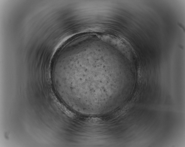 X0000101650784200807241354