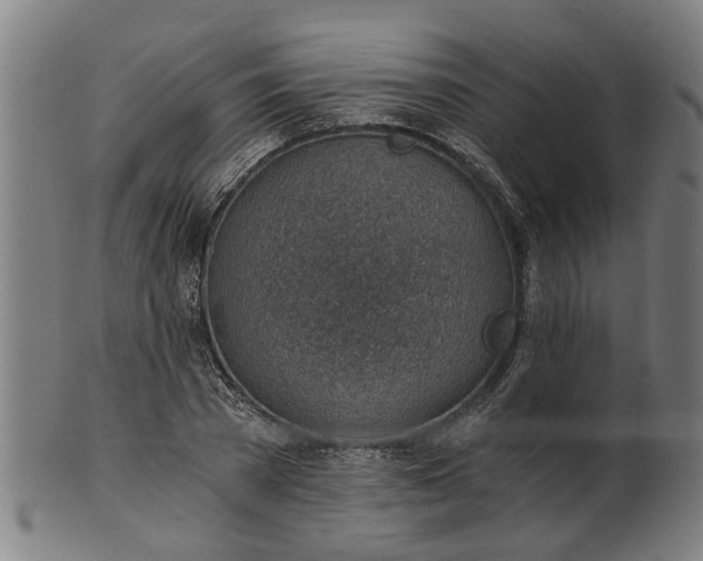 X0000101650785200807241354