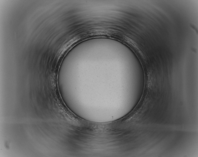 X0000101650786200807241354