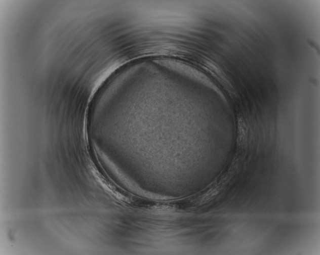 X0000101650788200807241354