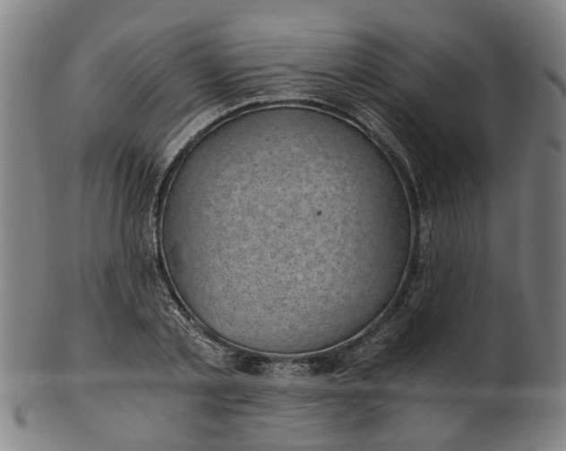 X0000101650789200807241354