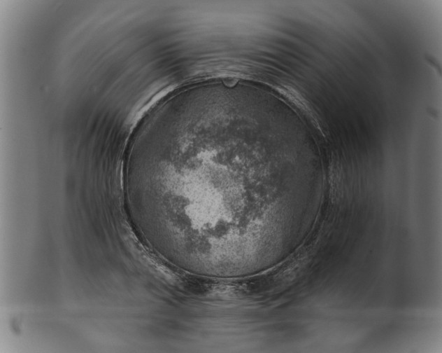 X0000101650790200807241354