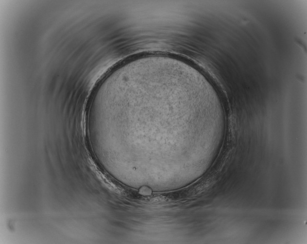 X0000101650791200807241354