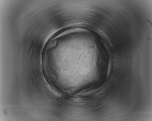 X0000101650792200807241354