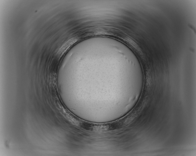 X0000101650793200807241354