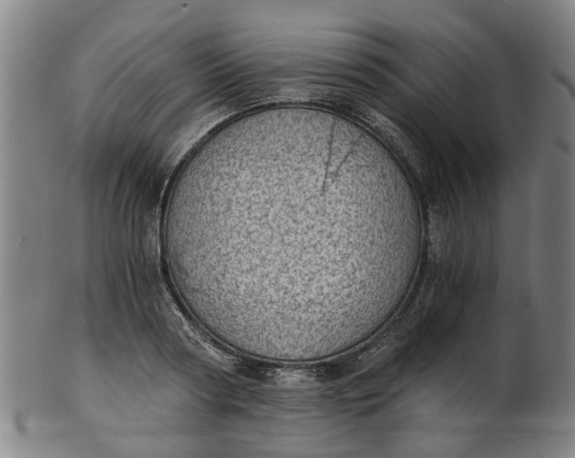 X0000101650794200807241354