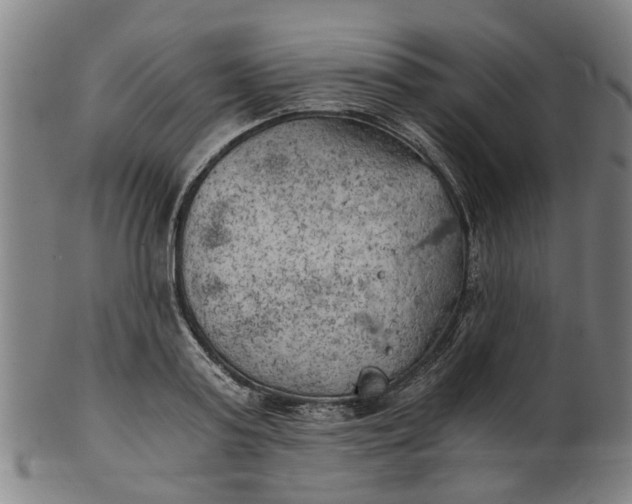 X0000101650795200807241354