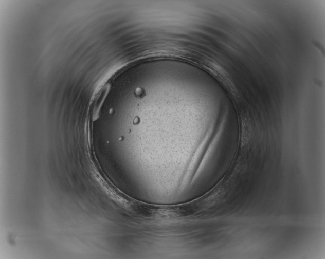 X0000101650796200807241354