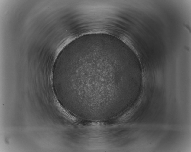 X0000101650797200807241354