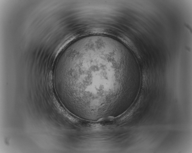 X0000101650798200807241354