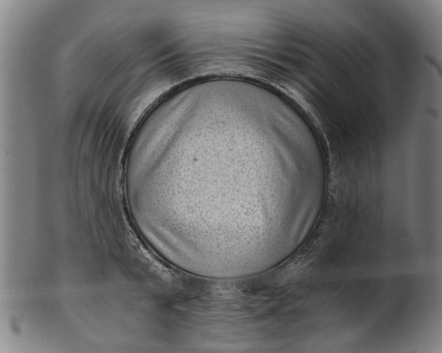 X0000101650799200807241354