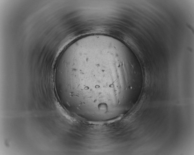 X0000101650800200807241354