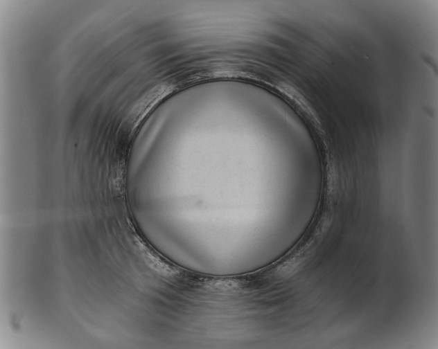 X0000101650801200807241353