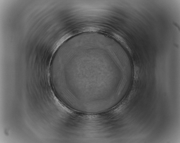 X0000101650802200807241353