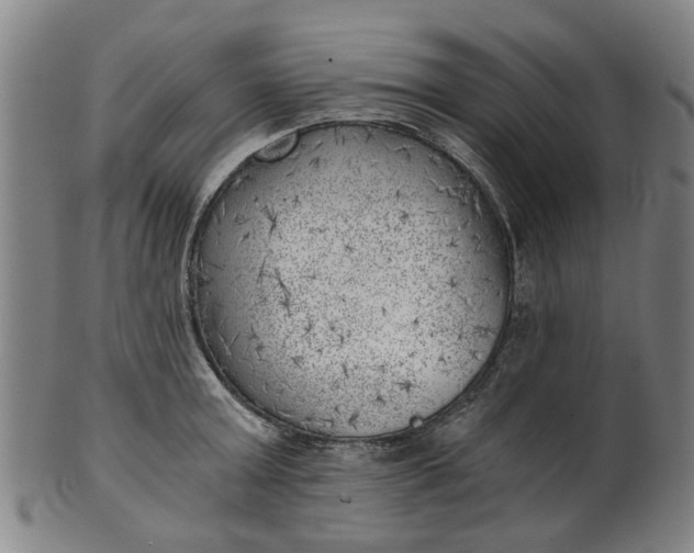 X0000101650803200807241353