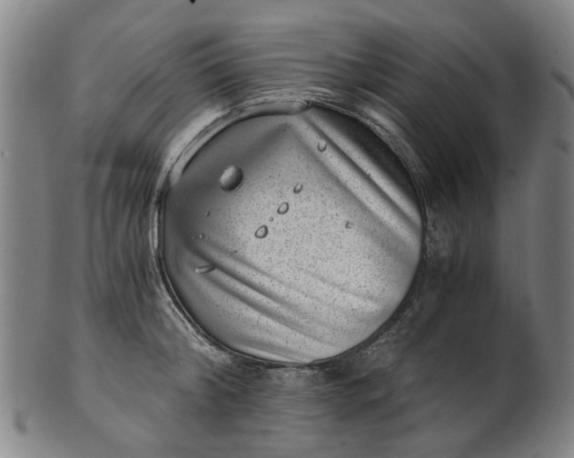 X0000101650804200807241353