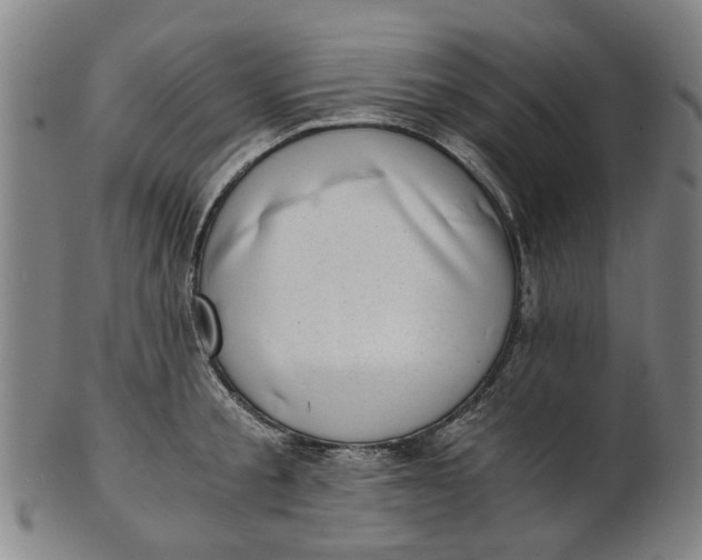 X0000101650805200807241353