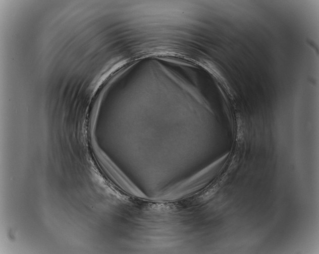 X0000101650806200807241353