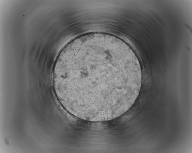 X0000101650807200807241353