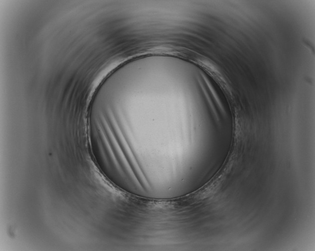 X0000101650808200807241353