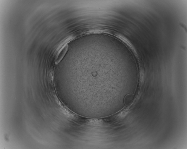 X0000101650809200807241353