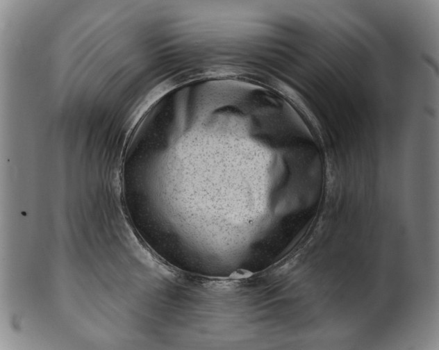 X0000101650810200807241353