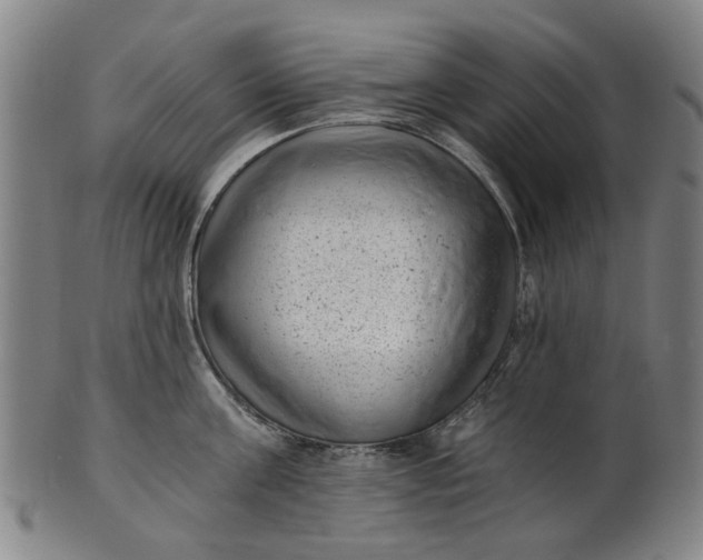 X0000101650811200807241353