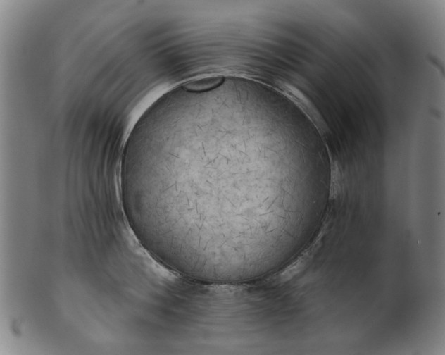 X0000101650812200807241353