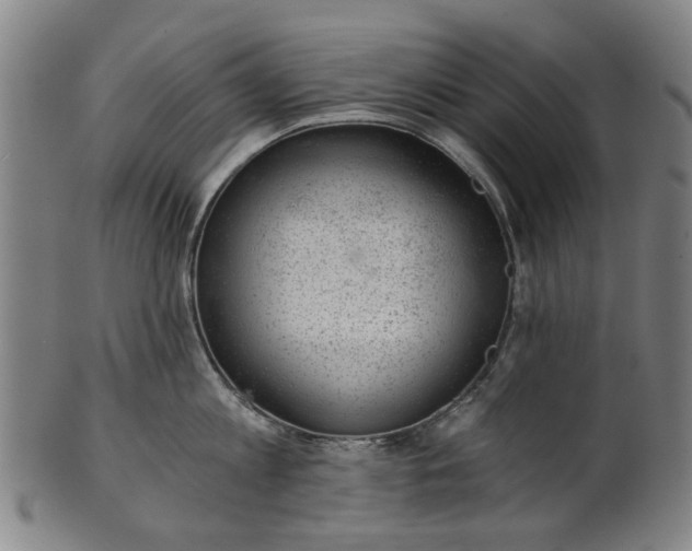 X0000101650813200807241353