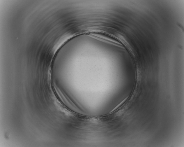 X0000101650814200807241353