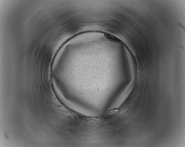 X0000101650815200807241353