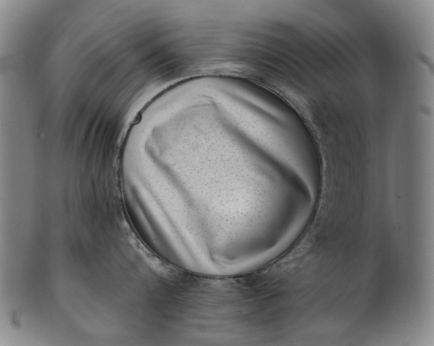 X0000101650816200807241353