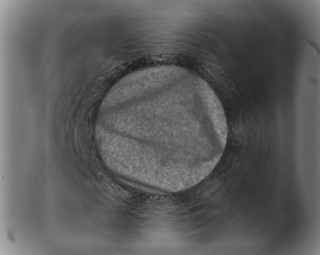 X0000101650817200807241353