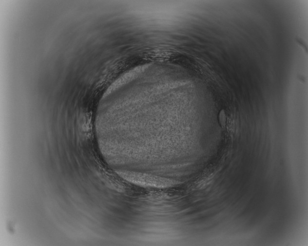 X0000101650818200807241353