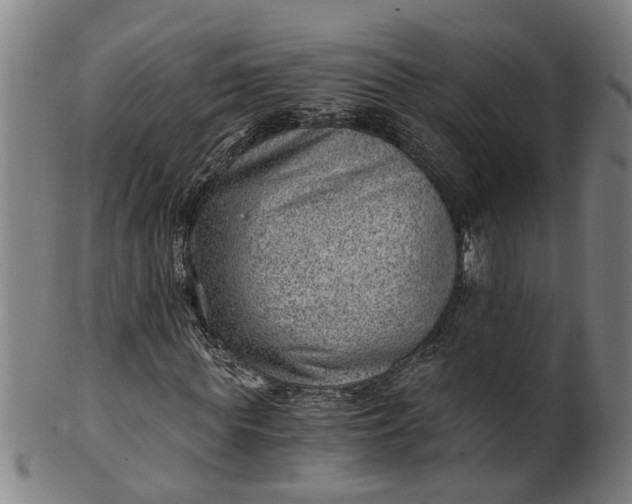 X0000101650819200807241353