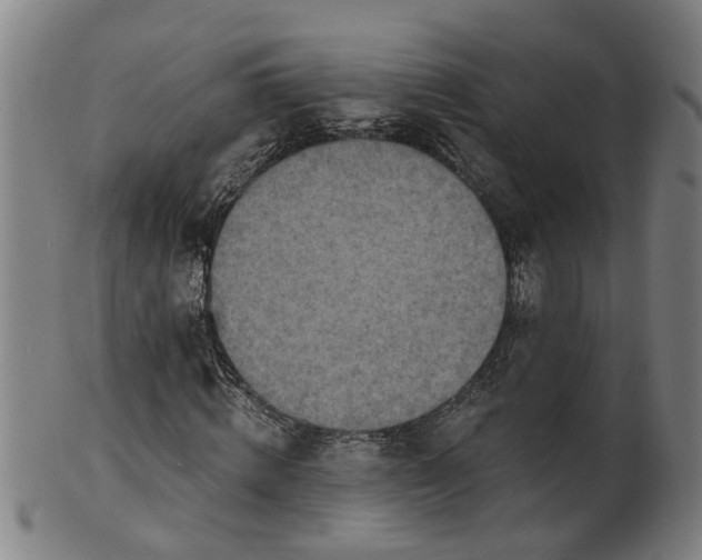 X0000101650820200807241353