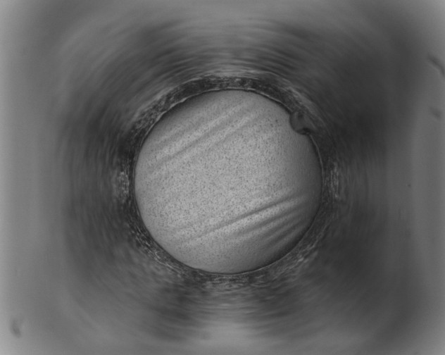 X0000101650821200807241353